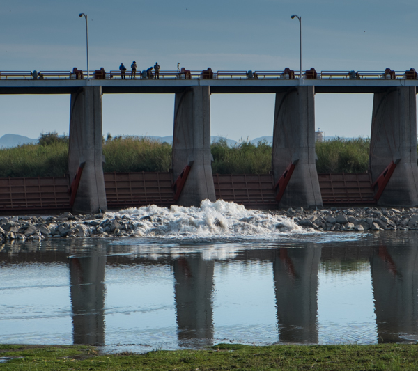 The Colorado River "pulse flow" begins. Morelos Dam, March 23, 2014, by John Fleck