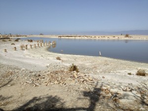 Salton Sea, February 2012, by John Fleck