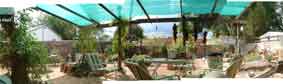 Lissa's Garden