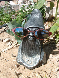 GNOME with sunglasses