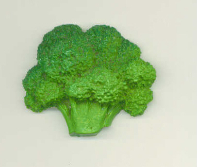 Broccoli Refrigerator Magnet