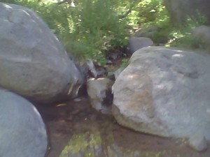 Domingo Baca spring, Sandia Mountains, September 2010