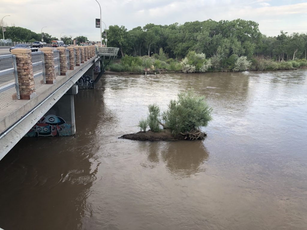 Rio Grande sandbar island emerges from a high flow year