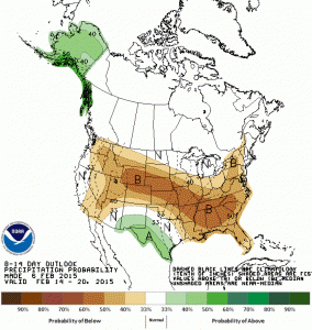 8-14 day outlook