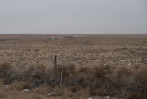 Tumbleweeds, Albuquerque's west side, December 2013, John Fleck
