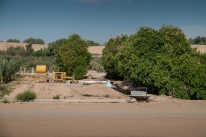 Pumping groundwater on the limotrophe: citrus farming on the U.S.-Mexico border, March 2014, by John Fleck
