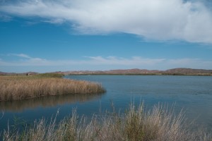 Water behind Imperial Dam is currently headed for desert farms. But will L.A. need it? photo by John Fleck