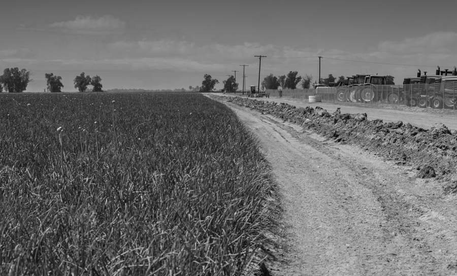 In ag-urban water transfers, does the tractor dealer lose out? Onion field and tractor dealership, Imperial Valley, March 2014, by John Fleck