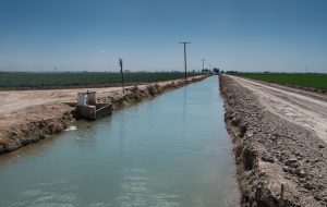 Wheat, right, and onions with a canal, Imperial Valley, March 2014