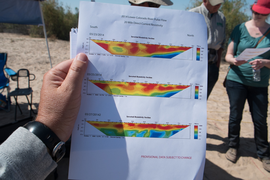 measurements show rising groundwater in a newly wetted stretch of the Colorado River, March 28 2014
