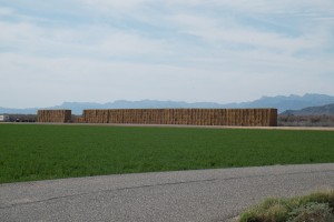 Colorado River Indian Tribes alfalfa field