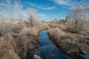 Springs Preserve, Las Vegas, Nev., February 2015