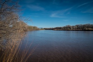 The Rio Grande through Albuquerque has been high recently, because what snow we have is melting early