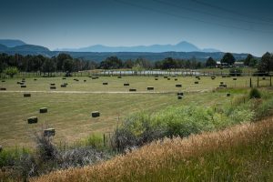 Upper Colorado River Basin agriculture, Montezuma County, Colorado