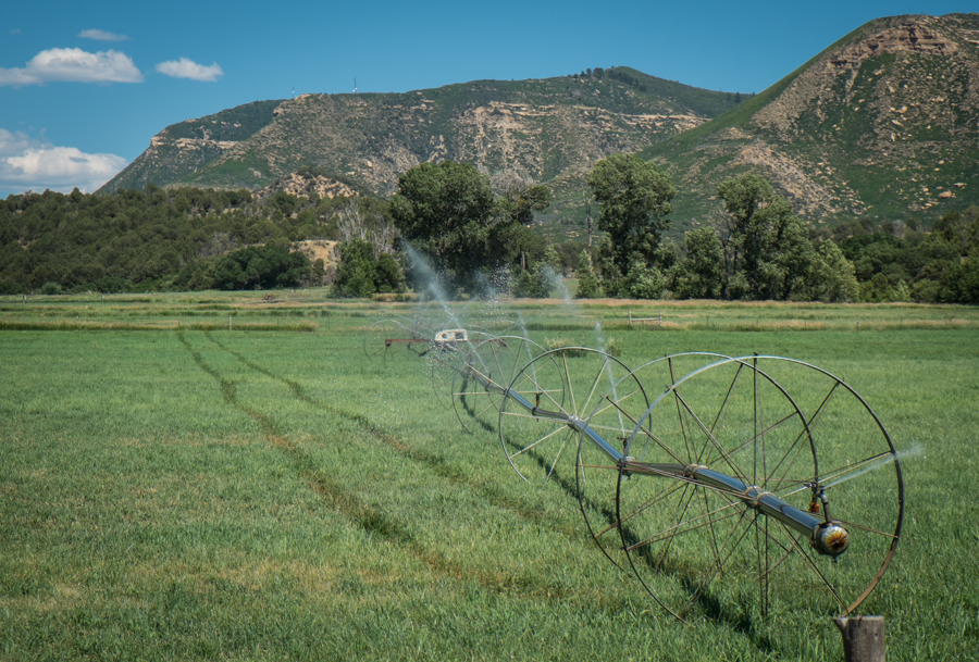 Mancos Valley irrigation