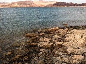 Rocks that haven't been above water since 1937. Boulder Harbor, May 1 2015, by John Fleck