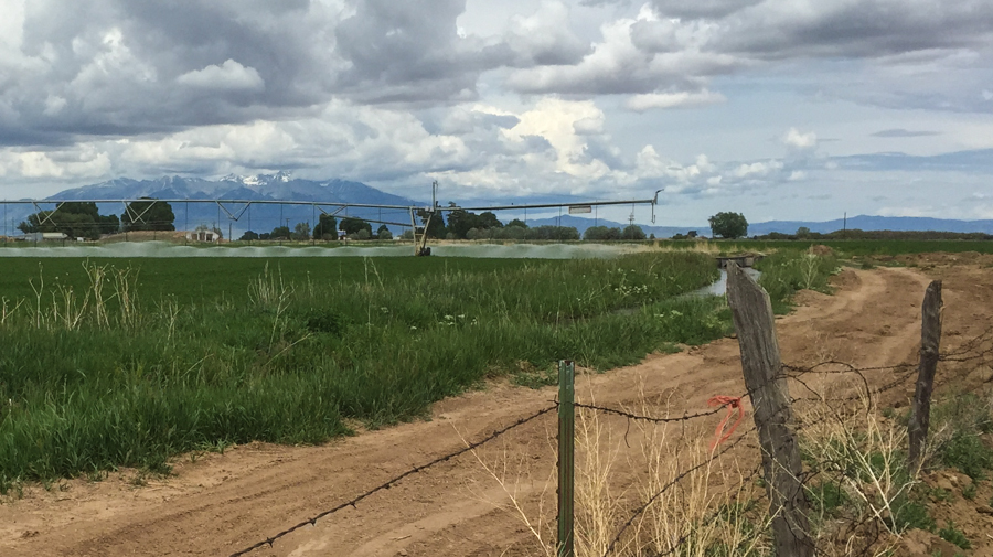 Center pivot irrigation, San Luis Valley, Colorado, June 2015, by John Fleck