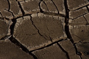 cracked mud