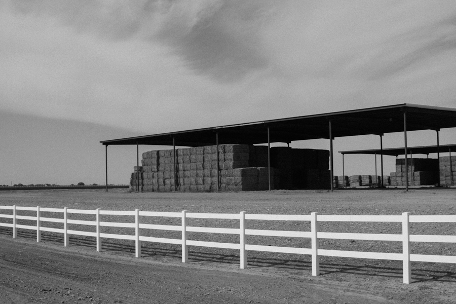 Alfalfa, stacked, Gila Bend Arizona, by John Fleck