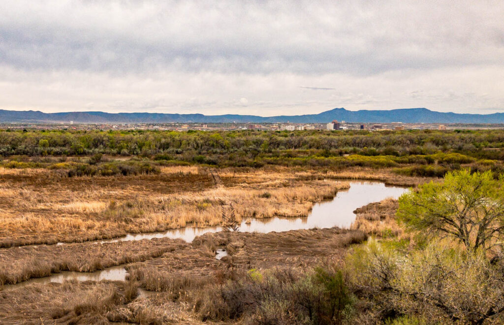 Rio Grande Oxbow and the city of Albuquerque, looking SE