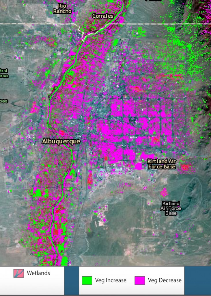 Albuquerque vegetation change, Landsat via ESRI