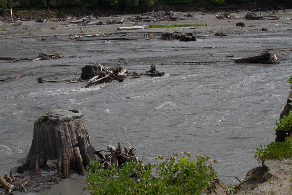 the former Lake Aldwell, Elwha River, by L. Heineman, May 2013