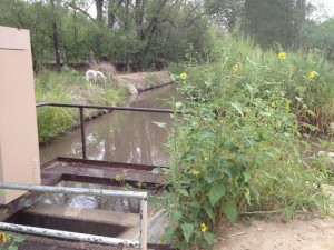 Duranes Ditch, August 2012