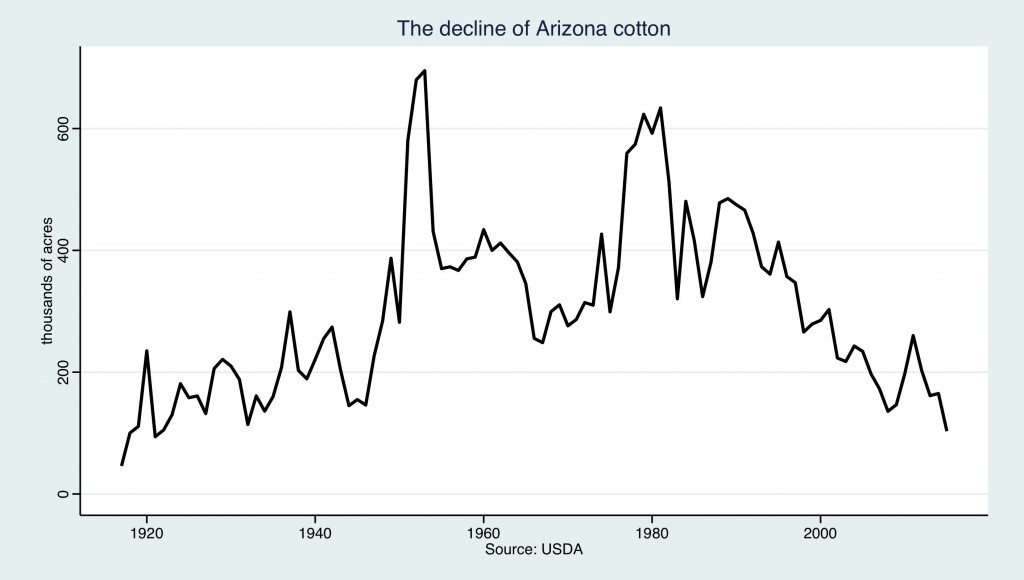Arizona cotton