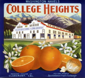 Title: Crate label, "College Heights." Washington Navels Date: 02/19/2008 Collection: Riverside Public Library Citrus Label Collection Owning Institution: Riverside Public Library Source: Calisphere Date of access: July 24 2017 20:28 Permalink: https://calisphere.org/item/ark:/13030/kt7x0nd752/?_pjax=%23js-pageContent