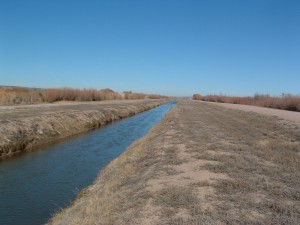 Bosque del Apache