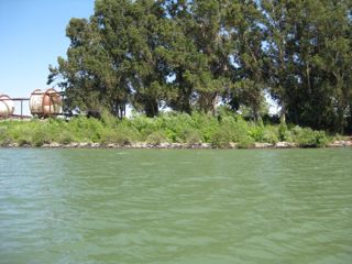 Sacramento River Delta, June 2011