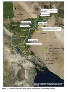 Colorado River delta pulse flow map, courtesy IBWC