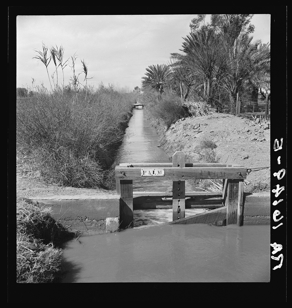 Imperial Valley, 1937, Dorothea Lange, courtesy Library of Congress