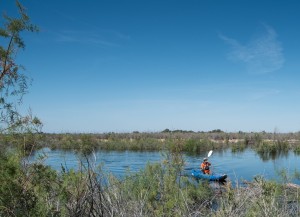 USGS monitoring on the pulse flow, March 28, 2014, by John Fleck