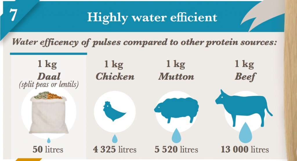 Source: UN Food and Agriculture Organization