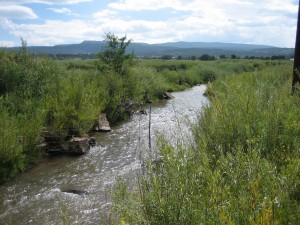 Little Colorado River, Springerville AZ