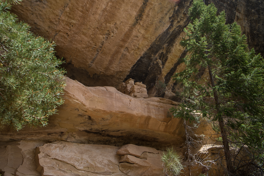 Wall in high alcove, Mesa Verde, May 2014, by John Fleck