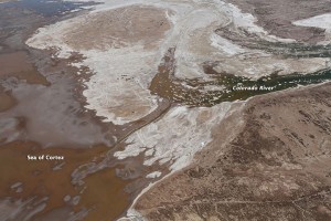 Colorado River "pulse flow" reaches the sea. Image courtesy of Sonoran Institute/NASA