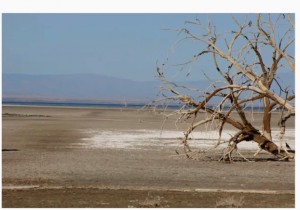 courtesy Kevin Kelley, Imperial Irrigation District