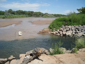 Albuquerque sewage outfall mixes with the Rio Grande