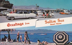 Greetings from the Salton Sea