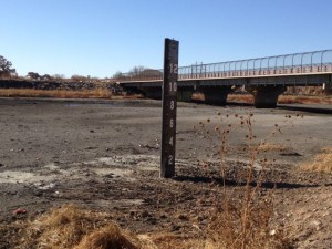 Tramway wetland, November 2012