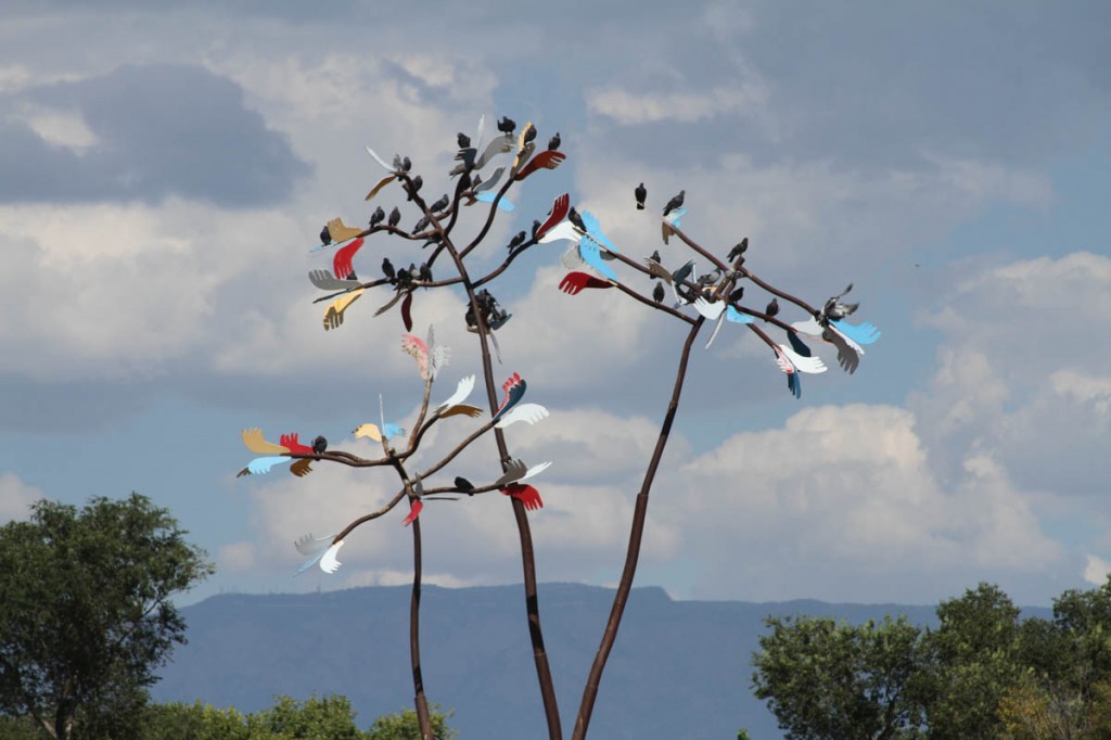Real Pigeons in a Fake Tree, John Fleck, September 2013