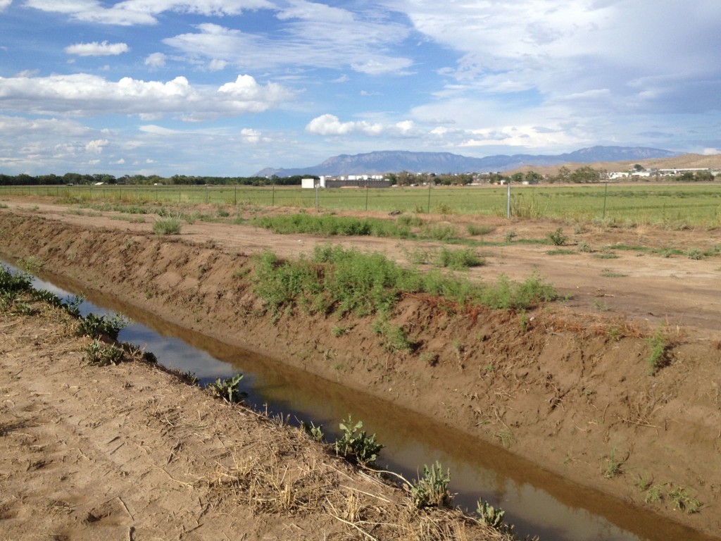 Valle de Oro National Wildlife Refuge (formerly Price's Dairy), south of Albuquerque NM, July 28, 2013, by John Fleck