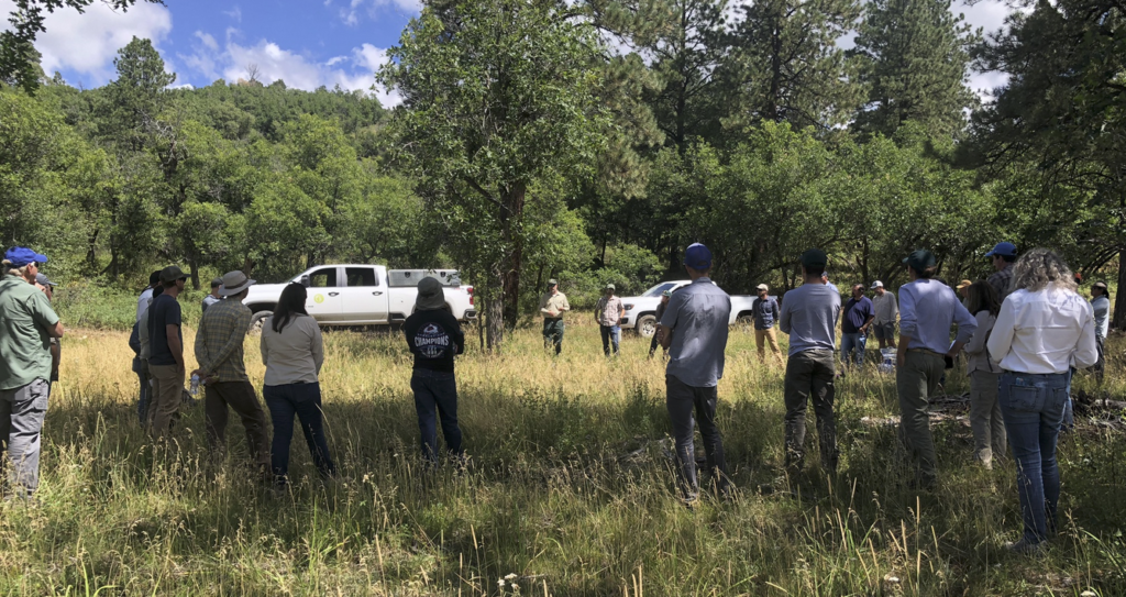 People standing in a forest clearing with pickup trucks in the background.