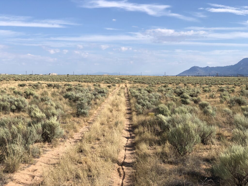 Two-track dirt road through desert scrub with buildings and mountains in the distance.
