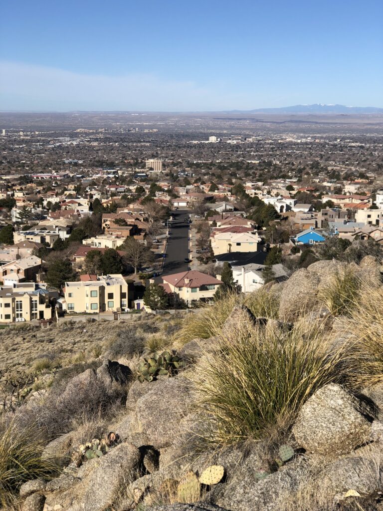 A city street, lined with trash cans, as seen from a mountain.