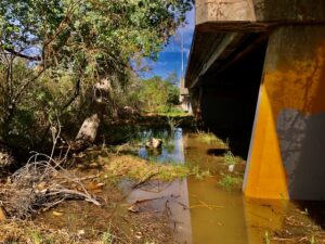 Water spilling out of a river channel quietly, with trees on the left and a roadway bridge pilings on the right