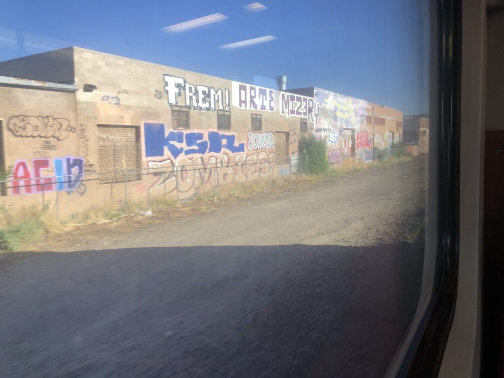 A wall of graffiti, with the framing suggesting it was taken from a moving train.