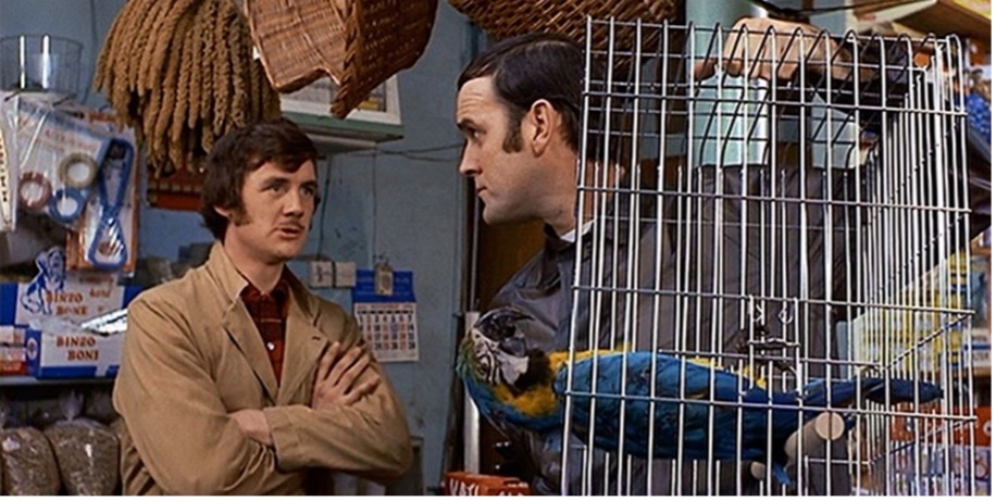 A man holds a cage containing a dead parrot and glares at the pet shop owner.